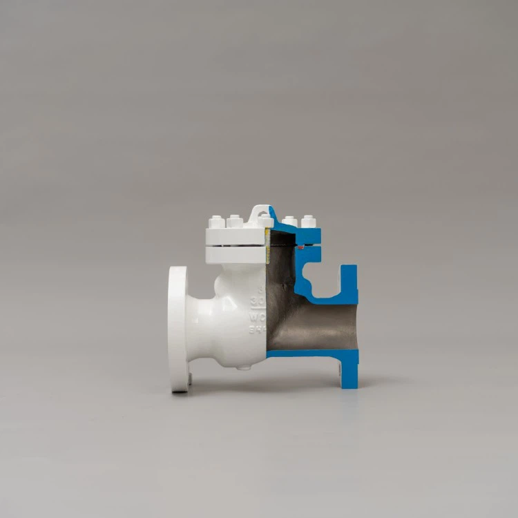 ANSI Check Valve